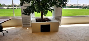 Exacting Diseno equips French brasserie in Dubai with Martin Audio CDD