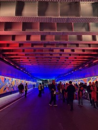 Anolis goes “Beyond The Bridge” in Clapham