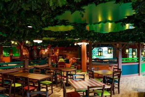 Immersive audio design with EM Acoustics at Legoland Windsor Resort’s new Woodland Village