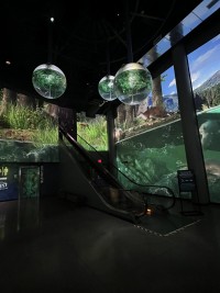 OdySea Aquarium equipped with Christie 1DLP projectors and Pandoras Box software and servers