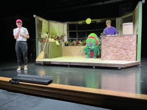 Pro Sound & Lights delivers Elation LED upgrade to Rowan County High School theater