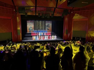 Hangzhou Butterfly Theatre invests in DiGiCo Quantum 225
