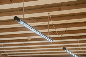 Zumtobel verankert Licht in architektonischem Entwurfskonzept