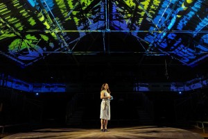 Lindsay Jones specifies TiMax for TheaterWorks Hartford’s “Circus Fire”
