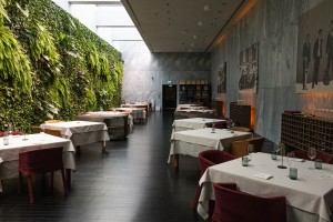 Martin Audio Adorn pendants elevate audio across Polish hospitality venues