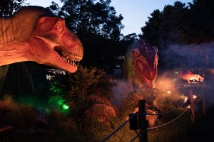 Showtec beleuchtet Dinosaurier-Entdeckungspfad im Auckland Zoo