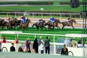 Vitec delivers IPTV and digital signage solution for Meydan Racecourse