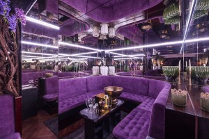 Evolve Install specifies Martin Audio for The Rex Rooms at 151