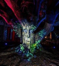 Elation illuminates NightGarden at Fairchild Tropical Botanic Garden