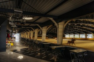 Romanian equestrian venue upgrades with Powersoft