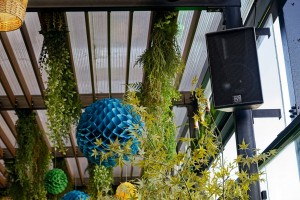 Rebranded French nightclub upgrades with Martin Audio WPS line array