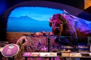 Christie projection helps bring story to life at new Montana Heritage Center