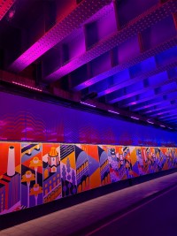 Anolis goes “Beyond The Bridge” in Clapham