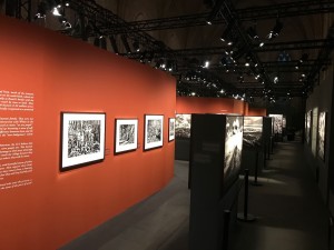 Amazônia Exhibition at Palais des Papes illuminated with Chauvet