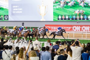 Vitec delivers IPTV and digital signage solution for Meydan Racecourse