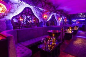 Evolve Install specifies Martin Audio for The Rex Rooms at 151