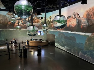 OdySea Aquarium equipped with Christie 1DLP projectors and Pandoras Box software and servers