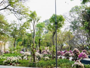 Ho Chi Minh City’s COVID-19 memorial equipped with gear from Powersoft, Bose and Cisco
