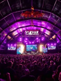 Splashy Fen’s new main stage lit with Colorado PXL Curve 12 from Chauvet