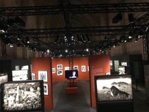 Amazônia Exhibition at Palais des Papes illuminated with Chauvet