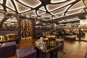 Evolve Install specifies Martin Audio for The Rex Rooms at 151