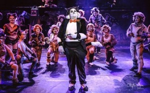 Chris Sealy chooses Chauvet for ‘Cats’