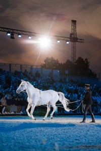 Cadre Noir of Saumur illuminated with Chauvet