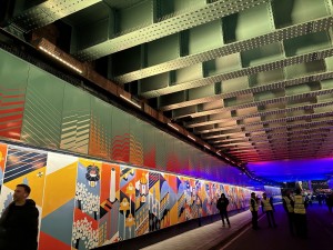 Anolis goes “Beyond The Bridge” in Clapham