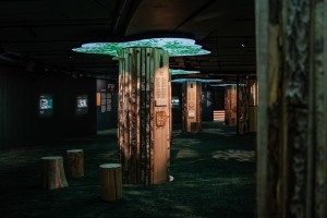 Genelec Smart IP shapes new immersive exhibition at Finlandia Hall in Helsinki