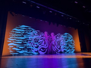 Pin Point Lighting modernizes middle school auditoriums with all-LED Elation systems