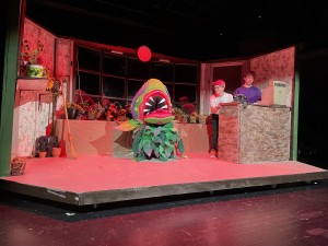 Pro Sound & Lights delivers Elation LED upgrade to Rowan County High School theater