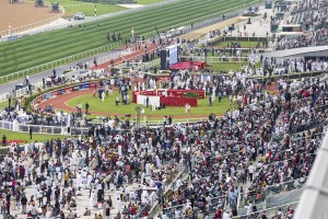Vitec delivers IPTV and digital signage solution for Meydan Racecourse
